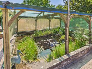 Pond- click for photo gallery